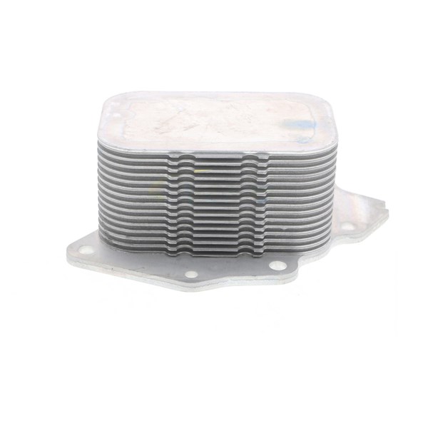 Oljekylare, motor