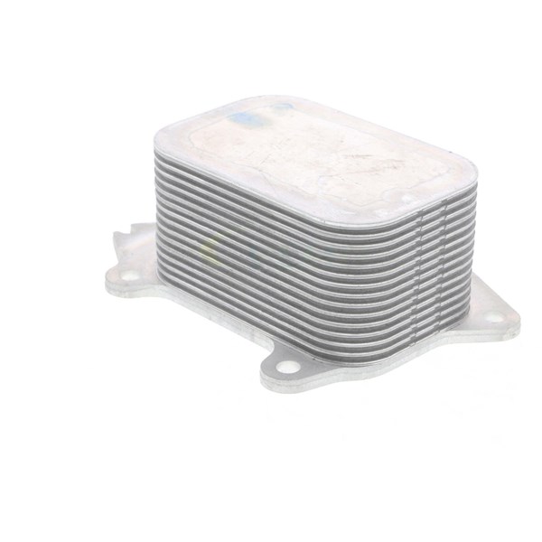Oljekylare, motor