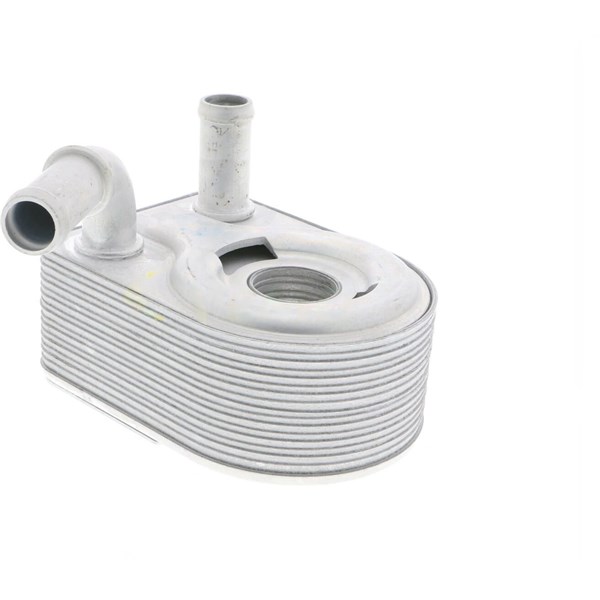 Oljekylare, motor