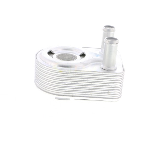 Oljekylare, motor