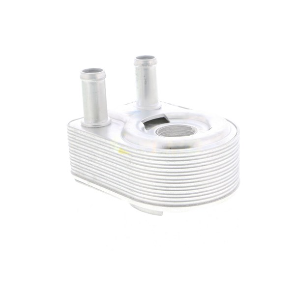Oljekylare, motor