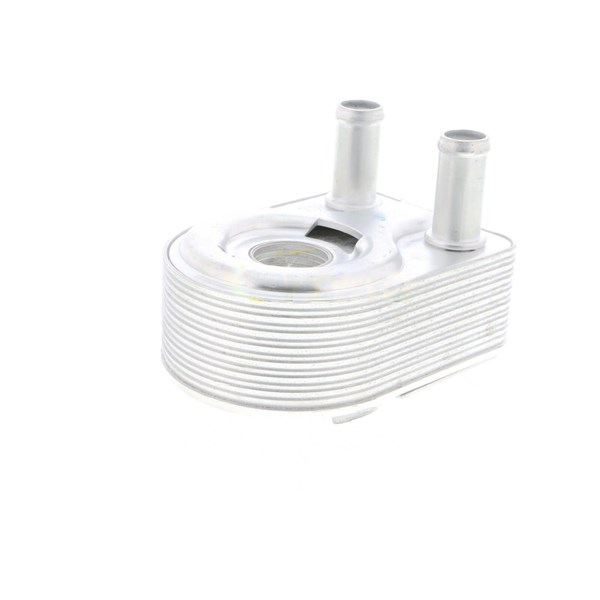 Oljekylare, motor