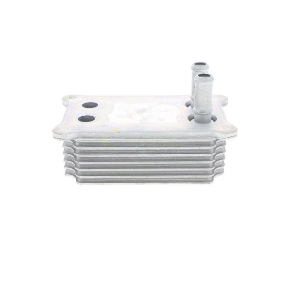 Oljekylare, motor