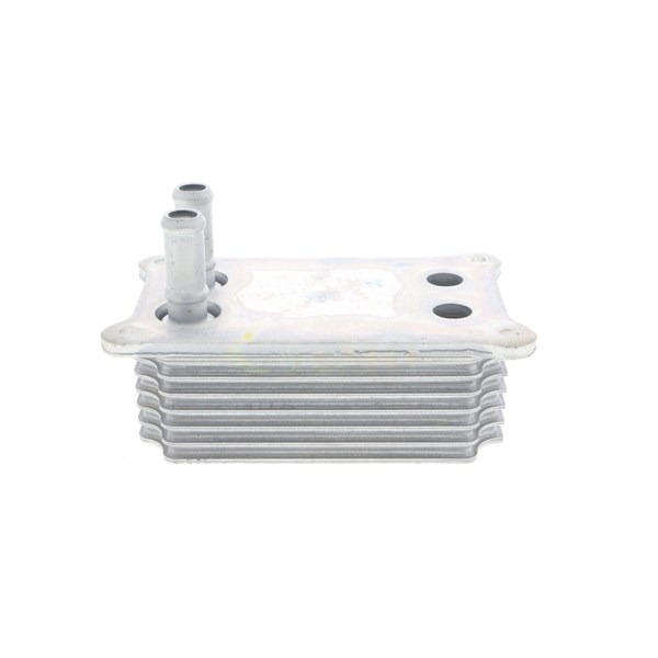 Oljekylare, motor