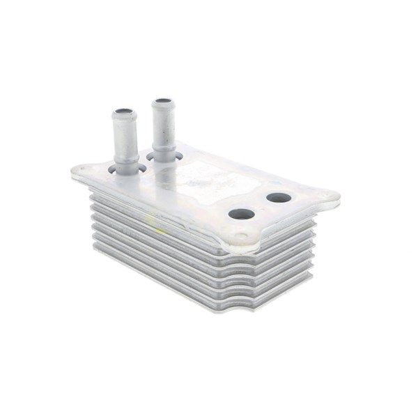 Oljekylare, motor