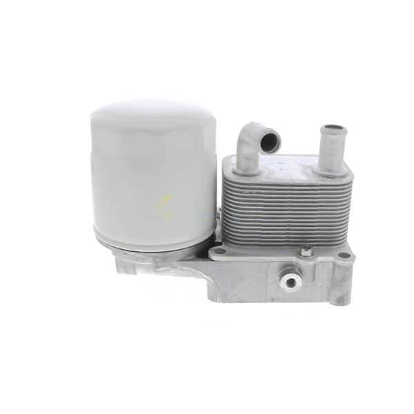Oljekylare, motor