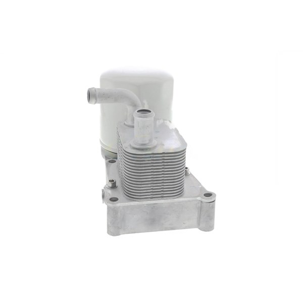 Oljekylare, motor