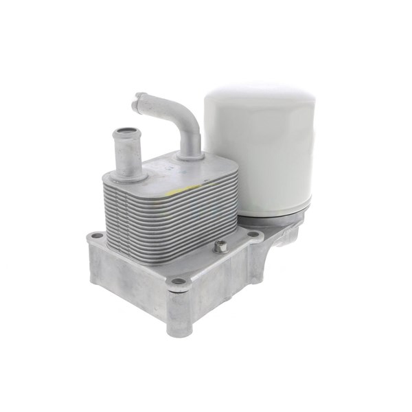 Oljekylare, motor