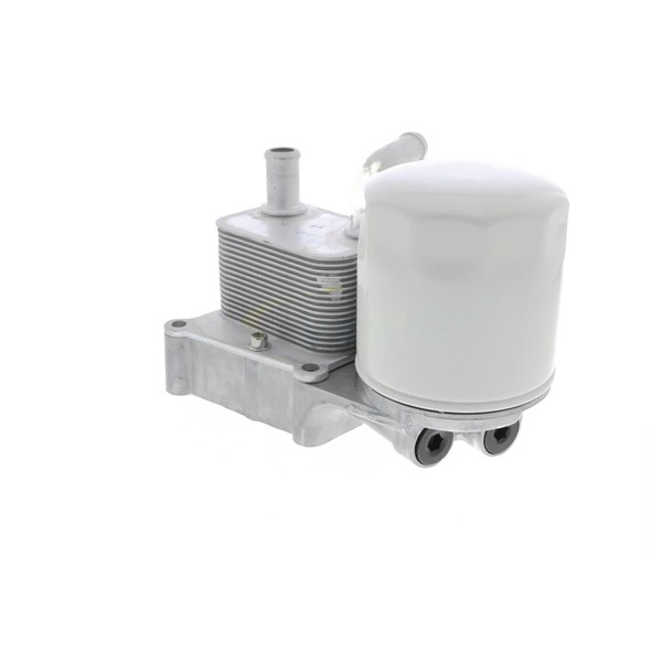 Oljekylare, motor