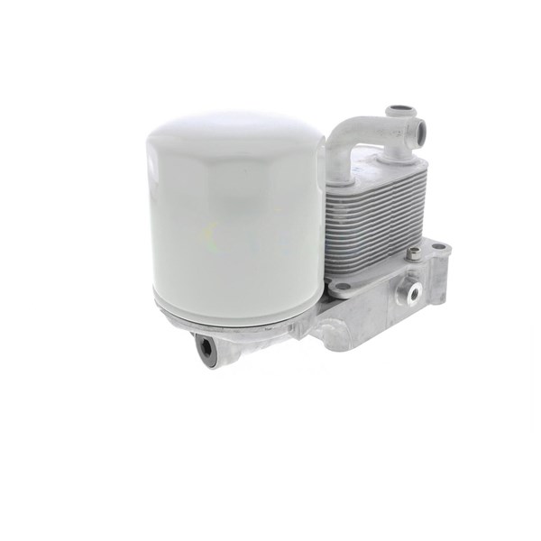 Oljekylare, motor