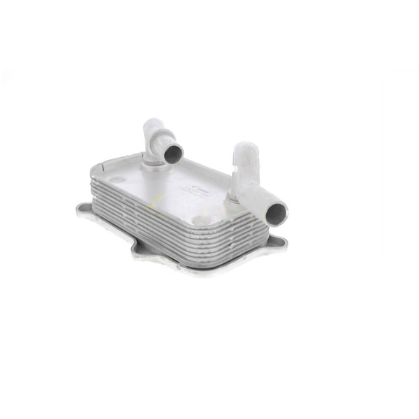 Oljekylare, motor Vemo V30-60-1266 VEMO Oljekylare, motor Vemo V30-60-1266 VEMO