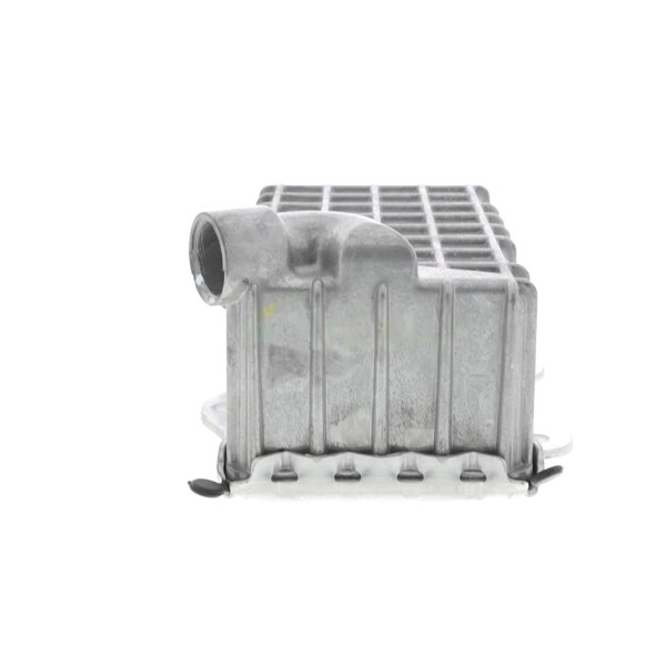 Oljekylare, motor