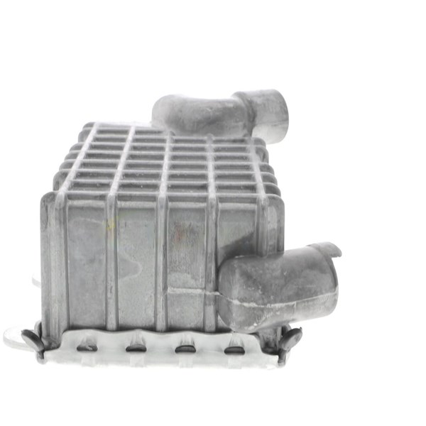 Oljekylare, motor