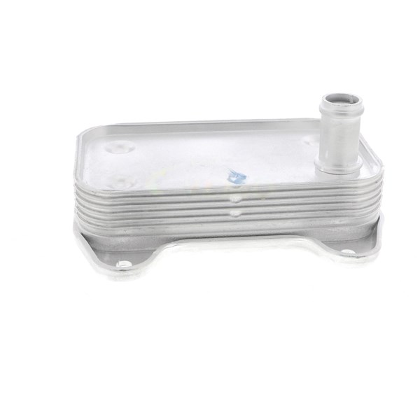 Oljekylare, motor