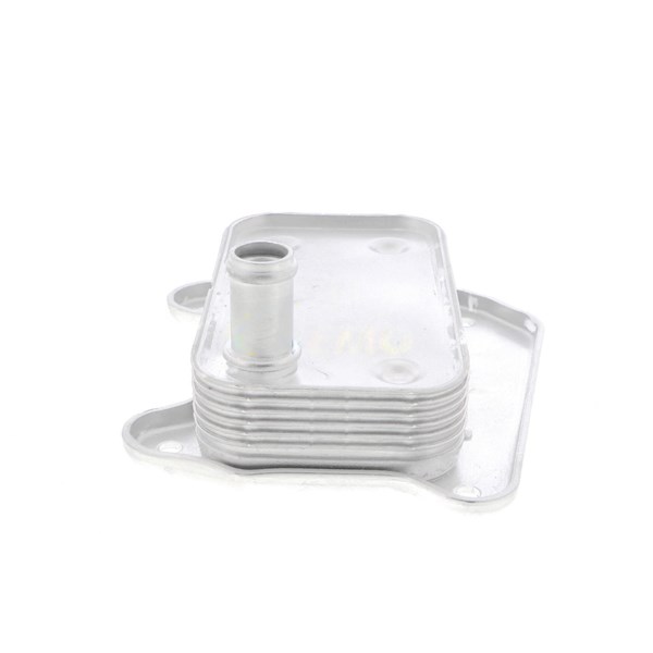 Oljekylare, motor Vemo V30-60-1273 VEMO Oljekylare, motor Vemo V30-60-1273 VEMO