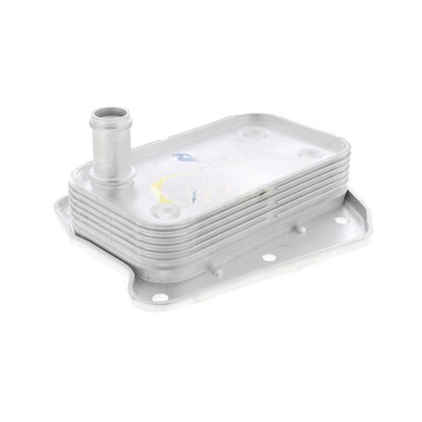 Oljekylare, motor
