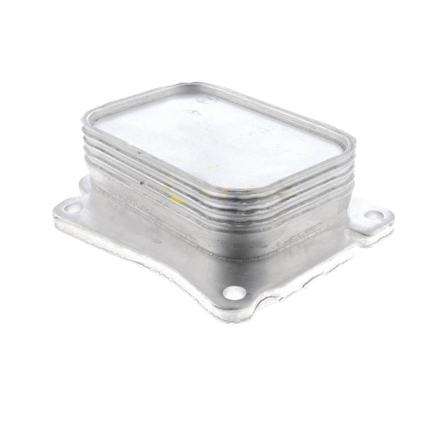 Oljekylare, motor