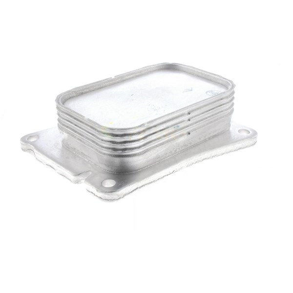 Oljekylare, motor