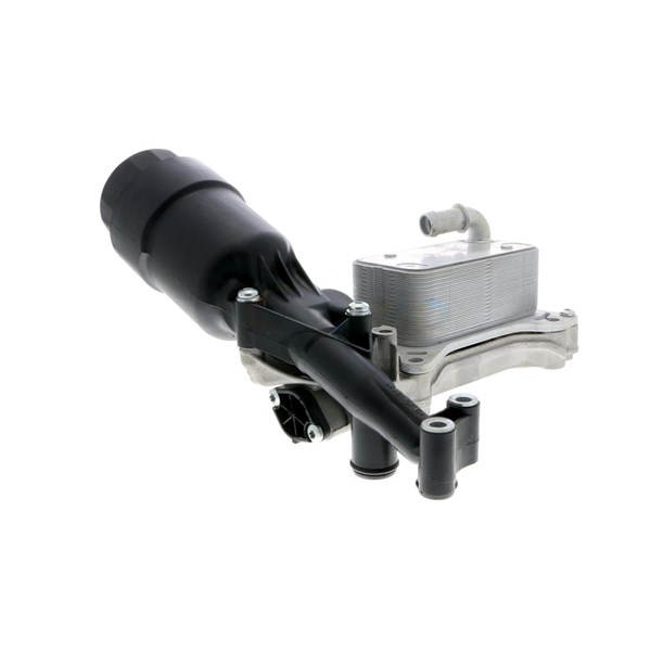 Oljekylare, motor