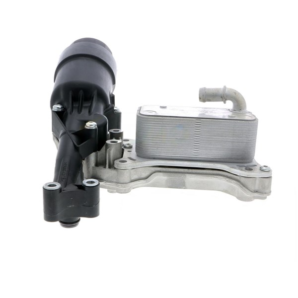 Oljekylare, motor