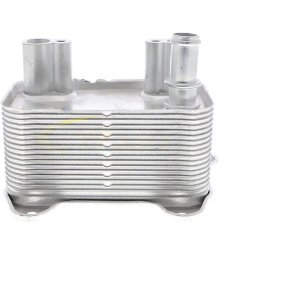Oljekylare, motor