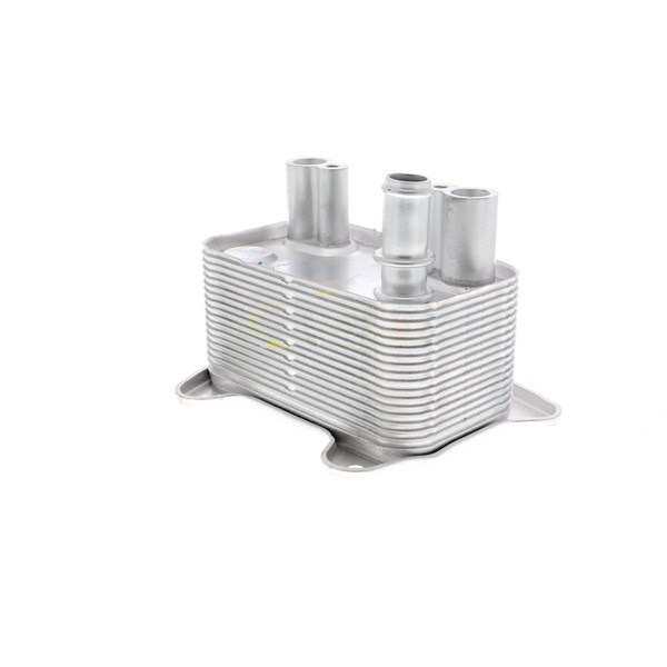 Oljekylare, motor