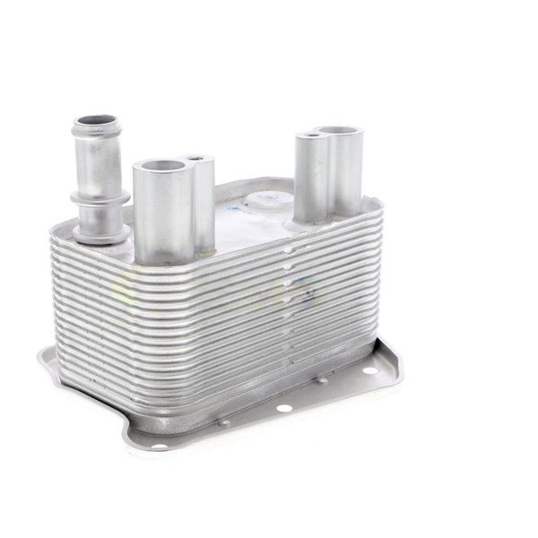 Oljekylare, motor
