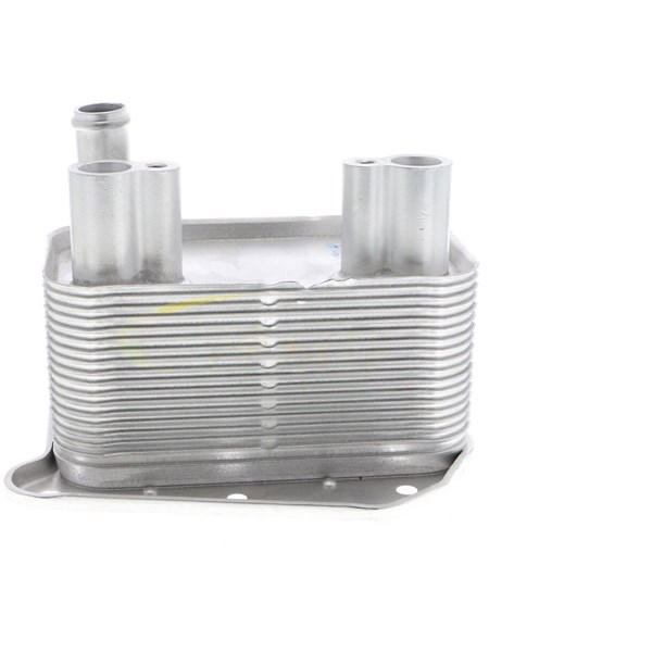 Oljekylare, motor