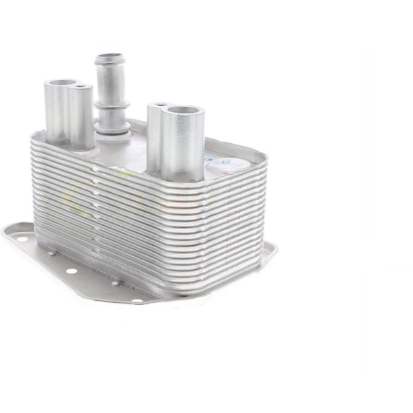 Oljekylare, motor