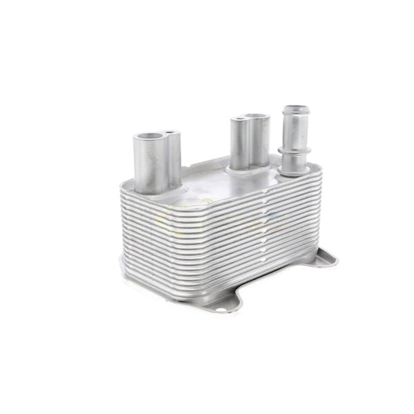 Oljekylare, motor