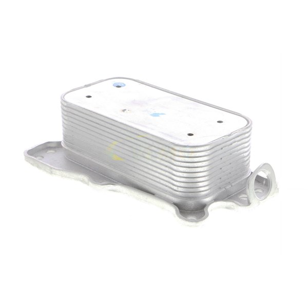 Oljekylare, motor