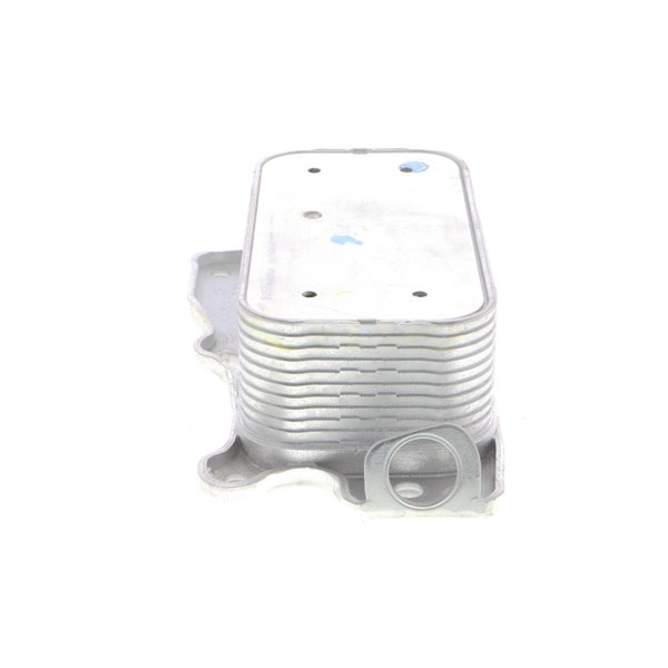 Oljekylare, motor