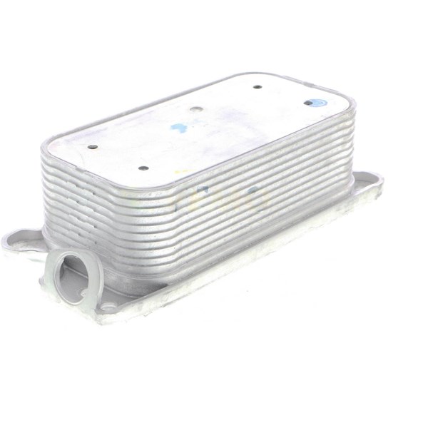 Oljekylare, motor