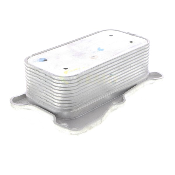 Oljekylare, motor