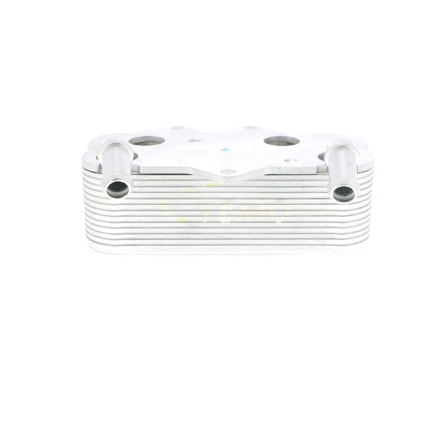 Oljekylare, motor