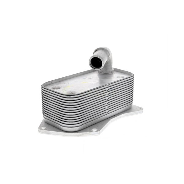 Oljekylare, motor