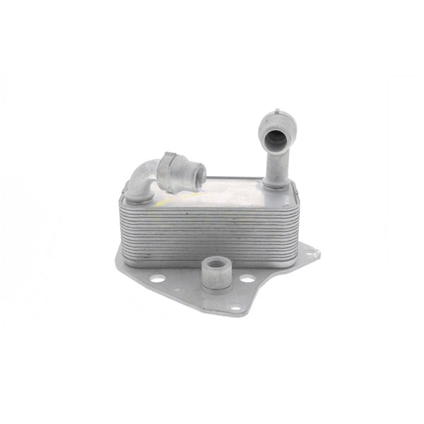Oljekylare, motor