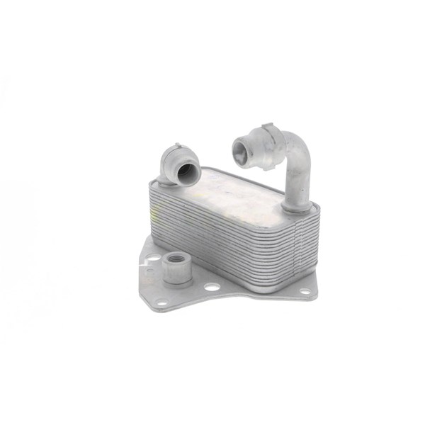 Oljekylare, motor
