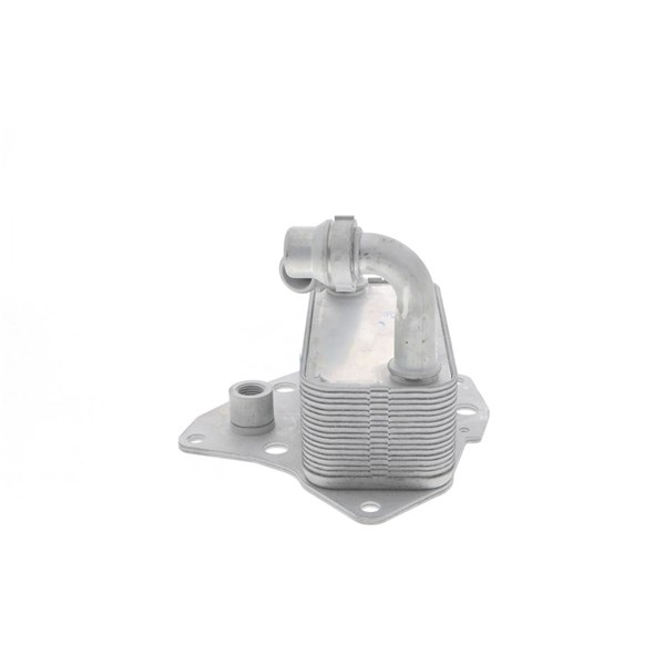 Oljekylare, motor