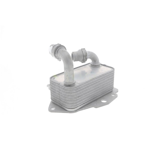 Oljekylare, motor