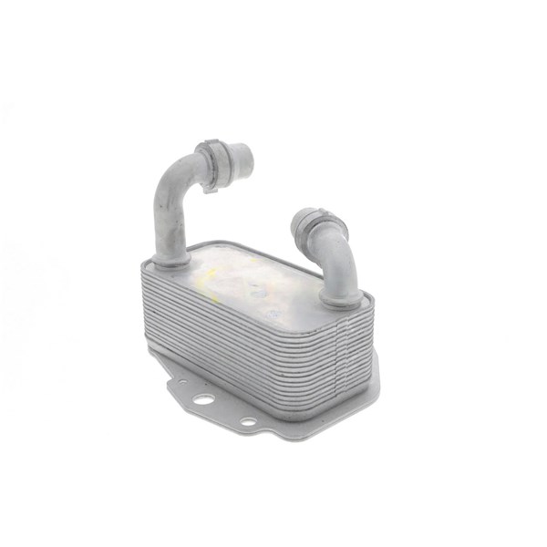 Oljekylare, motor
