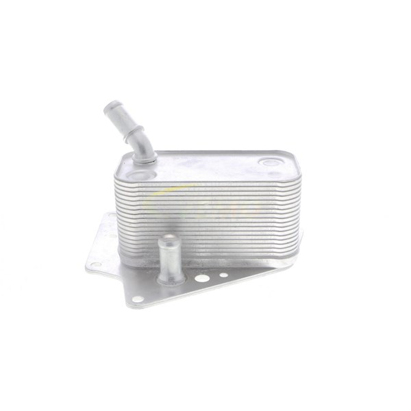 Oljekylare, motor