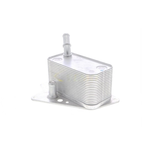 Oljekylare, motor
