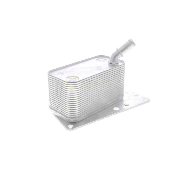 Oljekylare, motor