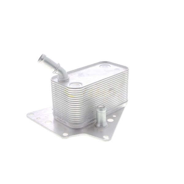 Oljekylare, motor