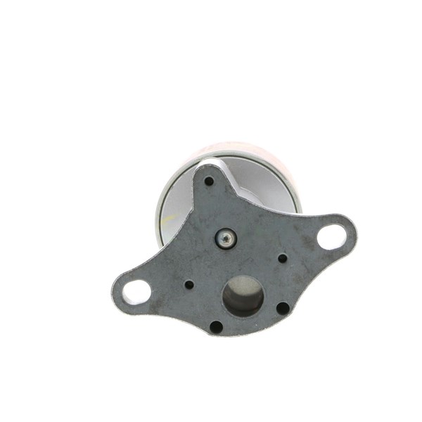 Egr-ventil 12V