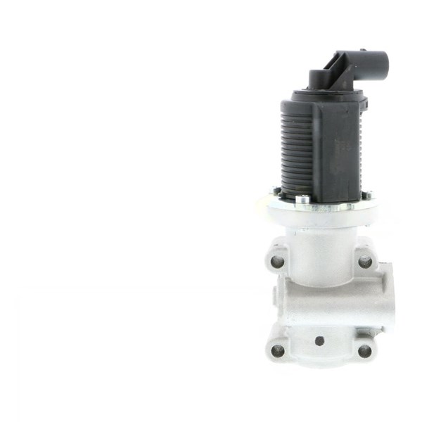 Egr-ventil 12V Vemo V40-63-0014 VEMO