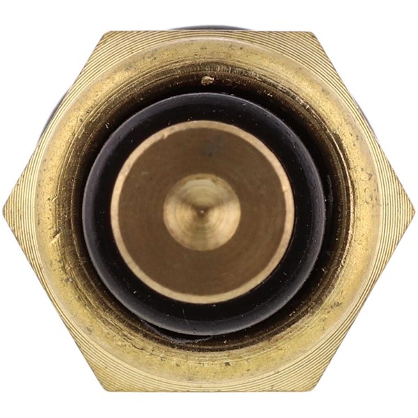 Sensor, kylvätsketemperatur, Fram