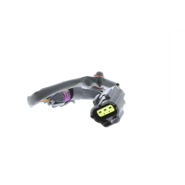 Map Sensor