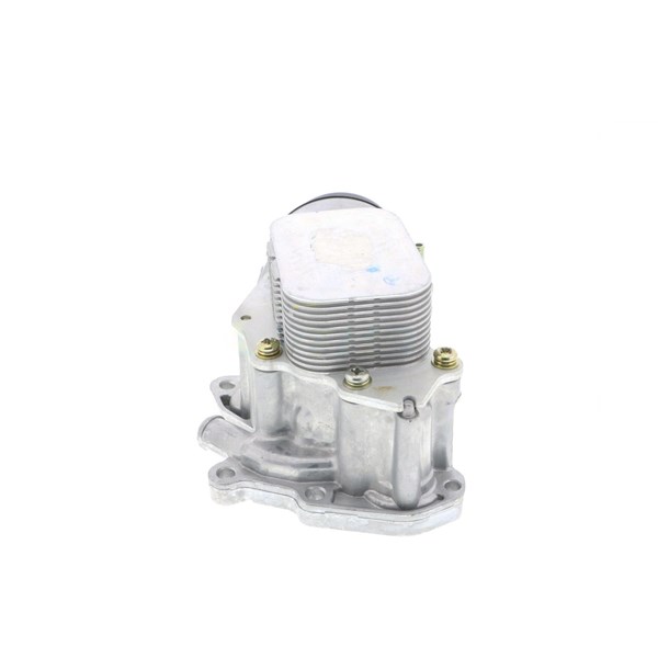 Oljekylare, motor